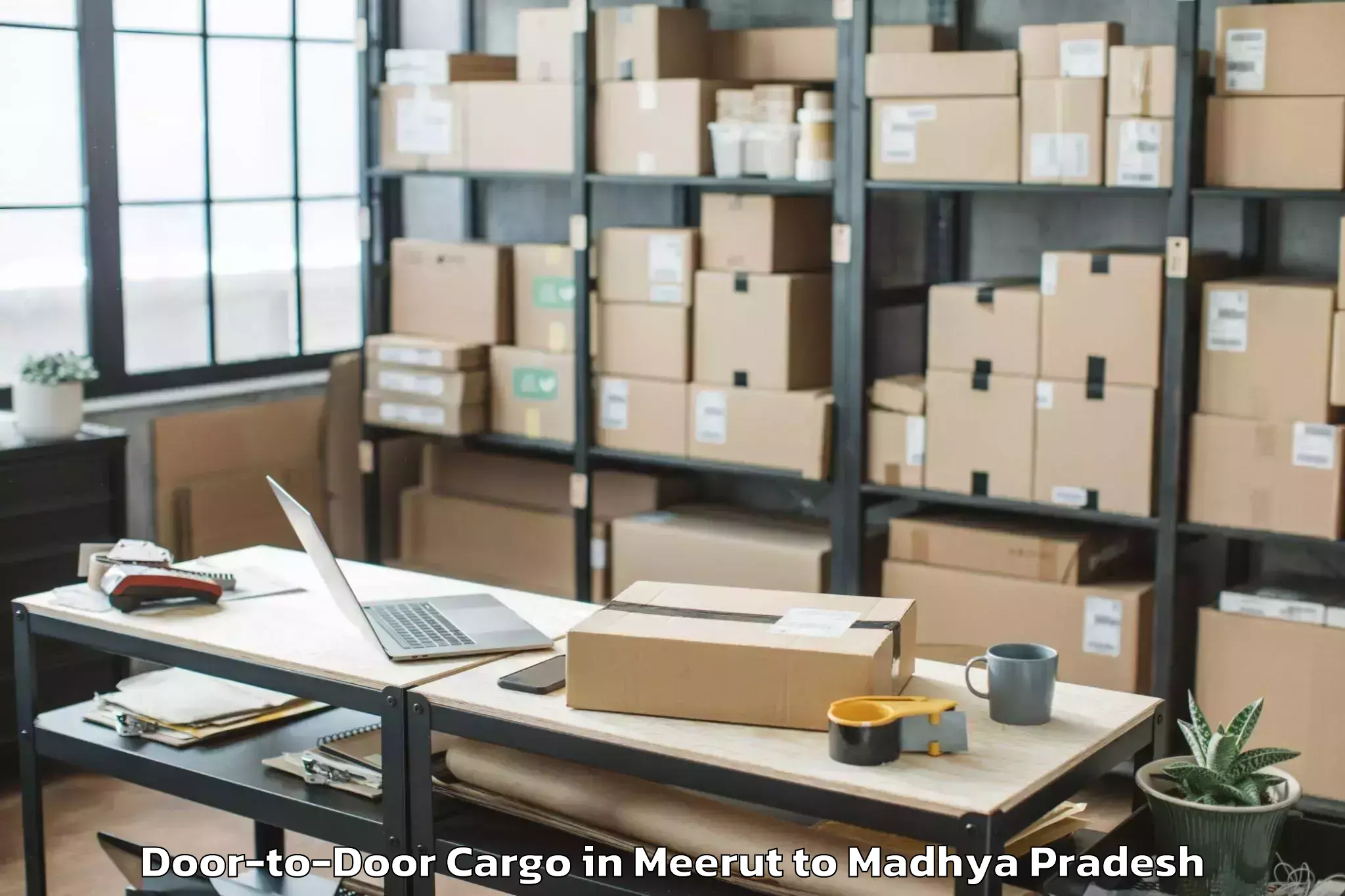 Quality Meerut to Sailana Door To Door Cargo